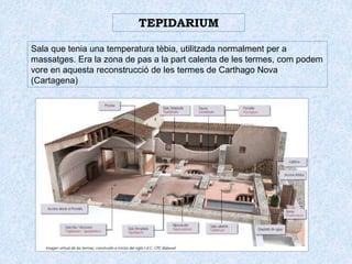 TEPIDARIUM
Sala que tenia una temperatura tèbia, utilitzada normalment per a
massatges. Era la zona de pas a la part calenta de les termes, com podem
vore en aquesta reconstrucció de les termes de Carthago Nova
(Cartagena)
 