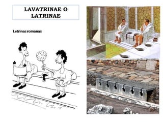 LAVATRINAE O
LATRINAE
 