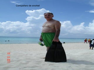 Compañero de snorkel
 