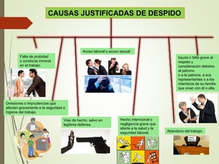 CAUSAS JUSTIFICADAS DE DESPIDO
Acoso laboral o acoso sexual.
Falta de probidad
o conducta inmoral
en el trabajo.
Vías de hecho, salvo en
legítima defensa.
Injuria o falta grave al
respeto y
consideración debidos
al patrono
o a la patrona, a sus
representantes o a los
miembros de su familia
que vivan con él o ella.
Hecho intencional o
negligencia grave que
afecte a la salud y la
seguridad laboral.
Omisiones o imprudencias que
afecten gravemente a la seguridad o
higiene del trabajo.
Abandono del trabajo.
 