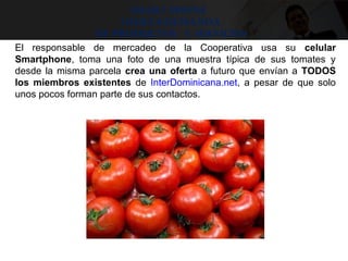 El responsable de mercadeo de la Cooperativa usa su celular
Smartphone, toma una foto de una muestra típica de sus tomates y
desde la misma parcela crea una oferta a futuro que envían a TODOS
los miembros existentes de InterDominicana.net, a pesar de que solo
unos pocos forman parte de sus contactos.
Smart phone ,
OFERTA/demanda
DE PRODUCTOS Y SERVICIOS
 