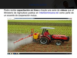 Capacitación
Pedro recibe capacitación en línea a través una serie de videos que el
Ministerio de Agricultura publica en InterDominicana.net como parte de
un acuerdo de cooperación mutua.
 