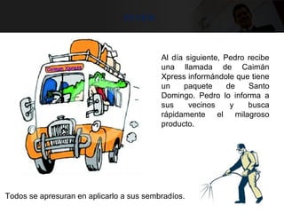 envíos
Al día siguiente, Pedro recibe
una llamada de Caimán
Xpress informándole que tiene
un paquete de Santo
Domingo. Pedro lo informa a
sus vecinos y busca
rápidamente el milagroso
producto.
Todos se apresuran en aplicarlo a sus sembradíos.
 