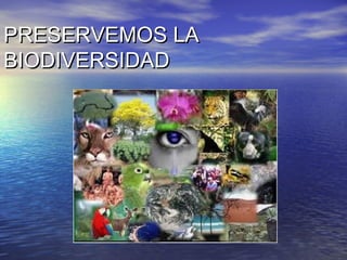 PRESERVEMOS LA
BIODIVERSIDAD

 