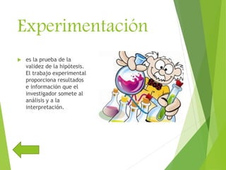 Experimentación
 es la prueba de la
validez de la hipótesis.
El trabajo experimental
proporciona resultados
e información que el
investigador somete al
análisis y a la
interpretación.
 