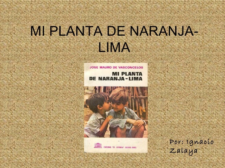 Terminadoo mi planta de naranja lima trabalo un libro un