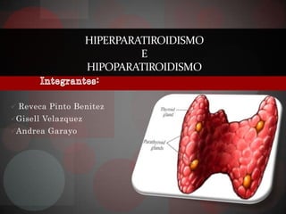 HIPERPARATIROIDISMO
                             E
                    HIPOPARATIROIDISMO


 Reveca Pinto Benitez
Gisell Velazquez
Andrea Garayo
 