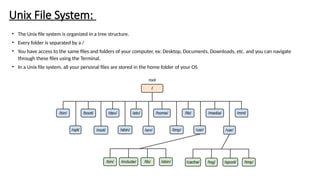 Unic Tree Basica Computer Knowledge on the Terminal | PPTX