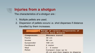 Injuries from a shotgun
The characteristics of a shotgun are :
1. Multiple pellets are used.
2. Dispersion of pellets occurs i.e. shot disperses if distance
travelled by them increases.
 