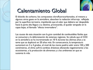 El dióxido de carbono, los compuestos clorofluorocarbonados, el metano y algunos otros gases en la atmósfera, absorben la radiación infrarroja  reflejada por la superficie terrestre, impidiendo que el calor que debiera ser despedido hacía la parte alta llegue a su destino, provocando, al quedar atrapado en la capas bajas, el llamado “efecto invernadero”. Las causas de esta situación son la gran cantidad de combustibles fósiles que se consumen y la deforestación de extensas regiones. Se calcula que el CO2 en la atmósfera se ha incrementado en 10 % durante los últimos años y se teme que se duplicará en 20 años más. En consecuencia, la temperatura aumentará en 3 o 4 grados, el nivel de los mares podría subir entre 150 y 200 centímetros, el clima sufrirá cambios drásticos afectando negativamente a los ecosistemas, a la producción de alimentos y a los ambientes en que se sustenta la vida.  Calentamiento Global 