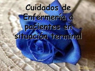 Cuidados de Enfermería a pacientes en situación terminal 