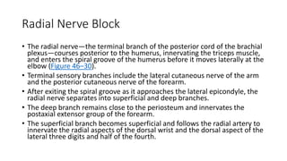 Radial Nerve Block
• The radial nerve—the terminal branch of the posterior cord of the brachial
plexus—courses posterior to the humerus, innervating the triceps muscle,
and enters the spiral groove of the humerus before it moves laterally at the
elbow (Figure 46–30).
• Terminal sensory branches include the lateral cutaneous nerve of the arm
and the posterior cutaneous nerve of the forearm.
• After exiting the spiral groove as it approaches the lateral epicondyle, the
radial nerve separates into superficial and deep branches.
• The deep branch remains close to the periosteum and innervates the
postaxial extensor group of the forearm.
• The superficial branch becomes superficial and follows the radial artery to
innervate the radial aspects of the dorsal wrist and the dorsal aspect of the
lateral three digits and half of the fourth.
 