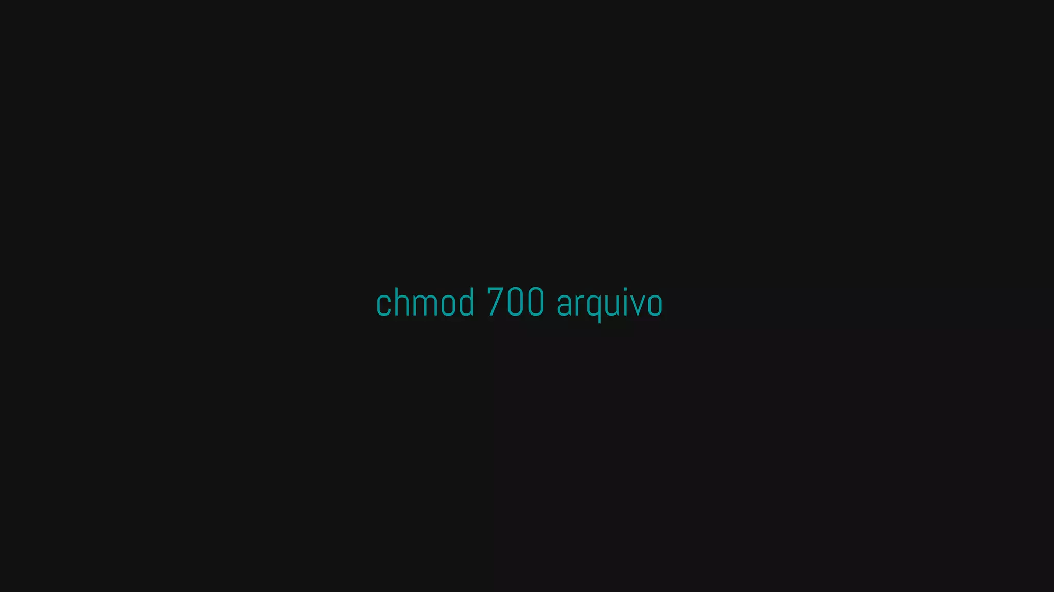chmod 700 arquivo
 