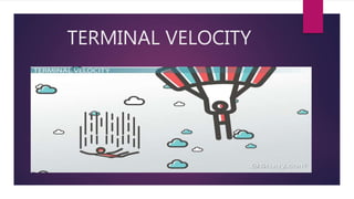 TERMINAL VELOCITY
 