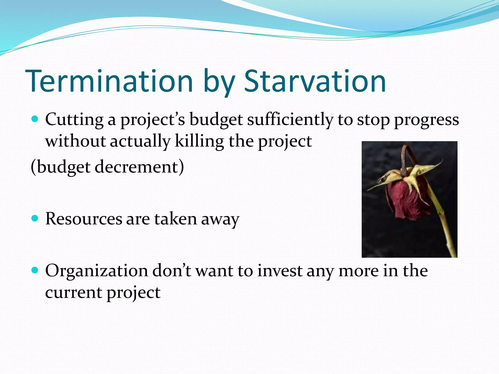 Termination by Starvation
 Cutting a project’s budget sufficiently to stop progress
without actually killing the project
(budget decrement)
 Resources are taken away
 Organization don’t want to invest any more in the
current project
 