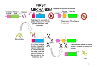 First mechanismFIRST
MECHANISM
 