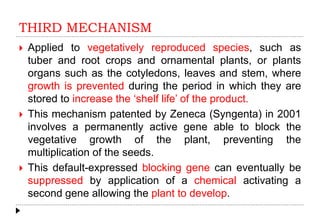 THIRD MECHANISM
 Applied to vegetatively reproduced species, such as
tuber and root crops and ornamental plants, or plants
organs such as the cotyledons, leaves and stem, where
growth is prevented during the period in which they are
stored to increase the ‘shelf life’ of the product.
 This mechanism patented by Zeneca (Syngenta) in 2001
involves a permanently active gene able to block the
vegetative growth of the plant, preventing the
multiplication of the seeds.
 This default-expressed blocking gene can eventually be
suppressed by application of a chemical activating a
second gene allowing the plant to develop.
 