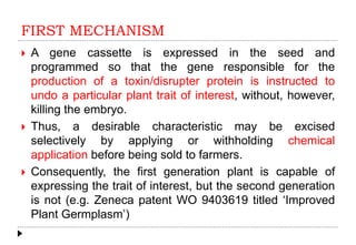 FIRST MECHANISM
 A gene cassette is expressed in the seed and
programmed so that the gene responsible for the
production of a toxin/disrupter protein is instructed to
undo a particular plant trait of interest, without, however,
killing the embryo.
 Thus, a desirable characteristic may be excised
selectively by applying or withholding chemical
application before being sold to farmers.
 Consequently, the first generation plant is capable of
expressing the trait of interest, but the second generation
is not (e.g. Zeneca patent WO 9403619 titled ‘Improved
Plant Germplasm’)
 