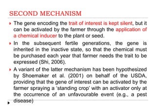 SECOND MECHANISM
 The gene encoding the trait of interest is kept silent, but it
can be activated by the farmer through the application of
a chemical inducer to the plant or seed.
 In the subsequent fertile generations, the gene is
inherited in the inactive state, so that the chemical must
be purchased each year that farmer needs the trait to be
expressed (Shi, 2006).
 A variant of the latter mechanism has been hypothesized
by Shoemaker et al. (2001) on behalf of the USDA,
providing that the gene of interest can be activated by the
farmer spraying a ‘standing crop’ with an activator only at
the occurrence of an unfavourable event (e.g., a pest
disease)
 