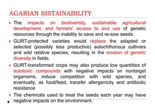 AGARIAN SISTAINABILITY
 The impacts on biodiversity, sustainable agricultural
development, and farmers’ access to and use of genetic
resources through the inability to save and re-sow seeds.
 GURT-protected varieties would replace the adapted or
selected (possibly less productive) autochthonous cultivars
and wild relative species, resulting in the erosion of genetic
diversity in fields.
 GURT-transformed crops may also produce low quantities of
autotoxic compounds with negative impacts on nontarget
organisms, induce competition with wild species, and
eventually, as food/feed, transfer allergenicity and antibiotic
resistance
 The chemicals used to treat the seeds each year may have
negative impacts on the environment.
 