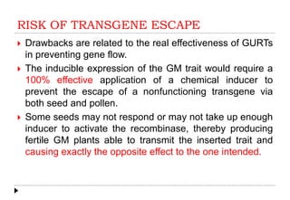 RISK OF TRANSGENE ESCAPE
 Drawbacks are related to the real effectiveness of GURTs
in preventing gene flow.
 The inducible expression of the GM trait would require a
100% effective application of a chemical inducer to
prevent the escape of a nonfunctioning transgene via
both seed and pollen.
 Some seeds may not respond or may not take up enough
inducer to activate the recombinase, thereby producing
fertile GM plants able to transmit the inserted trait and
causing exactly the opposite effect to the one intended.
 