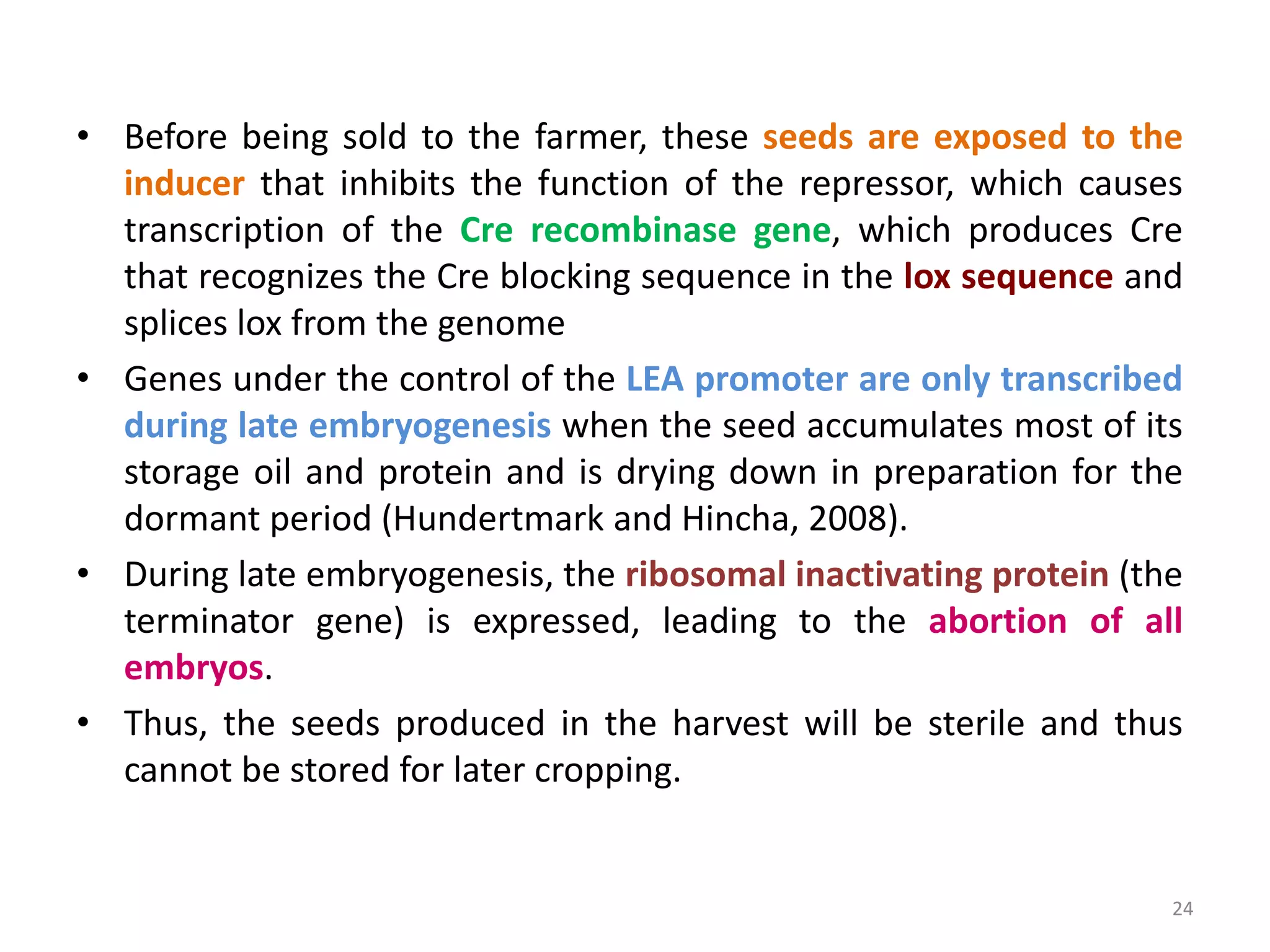 • Before being sold to the farmer, these seeds are exposed to the
inducer that inhibits the function of the repressor, which causes
transcription of the Cre recombinase gene, which produces Cre
that recognizes the Cre blocking sequence in the lox sequence and
splices lox from the genome
• Genes under the control of the LEA promoter are only transcribed
during late embryogenesis when the seed accumulates most of its
storage oil and protein and is drying down in preparation for the
dormant period (Hundertmark and Hincha, 2008).
• During late embryogenesis, the ribosomal inactivating protein (the
terminator gene) is expressed, leading to the abortion of all
embryos.
• Thus, the seeds produced in the harvest will be sterile and thus
cannot be stored for later cropping.
24
 