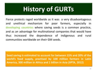 Fierce protests raged worldwide as it was a very disadvantageous
and unethical mechanism for poor farmers, especially in
developing countries where saving seeds is a common practice,
and as an advantage for multinational companies that would have
thus increased the dependence of indigenous and rural
communities worldwide on their GM seeds.
10
History of GURTs
Seed saving is estimated to account for between 15% and 20% of the
world’s food supply, practised by 100 million farmers in Latin
America, 300 million in Africa and 1 billion in Asia (IIPTA, 2012)
 
