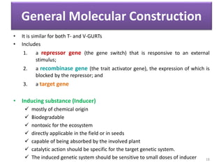 General Molecular Construction
• It is similar for both T- and V-GURTs
• Includes
1. a repressor gene (the gene switch) that is responsive to an external
stimulus;
2. a recombinase gene (the trait activator gene), the expression of which is
blocked by the repressor; and
3. a target gene
• Inducing substance (Inducer)
 mostly of chemical origin
 Biodegradable
 nontoxic for the ecosystem
 directly applicable in the field or in seeds
 capable of being absorbed by the involved plant
 catalytic action should be specific for the target genetic system.
 The induced genetic system should be sensitive to small doses of inducer 18
 