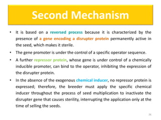 • It is based on a reversed process because it is characterized by the
presence of a gene encoding a disrupter protein permanently active in
the seed, which makes it sterile.
• The gene promoter is under the control of a specific operator sequence.
• A further repressor protein, whose gene is under control of a chemically
inducible promoter, can bind to the operator, inhibiting the expression of
the disrupter protein.
• In the absence of the exogenous chemical inducer, no repressor protein is
expressed; therefore, the breeder must apply the specific chemical
inducer throughout the process of seed multiplication to inactivate the
disrupter gene that causes sterility, interrupting the application only at the
time of selling the seeds.
26
Second Mechanism
 