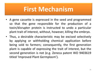 First Mechanism
• A gene cassette is expressed in the seed and programmed
so that the gene responsible for the production of a
toxin/disrupter protein is instructed to undo a particular
plant trait of interest, without, however, killing the embryo.
• Thus, a desirable characteristic may be excised selectively
by applying or withholding chemical application before
being sold to farmers; consequently, the first generation
plant is capable of expressing the trait of interest, but the
second generation is not (e.g. Zeneca patent WO 9403619
titled ‘Improved Plant Germplasm’).
36
 
