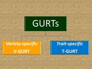 GURTs
Variety-specific
V-GURT
Trait-specific
T-GURT
4
 