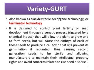 Variety-GURT
• Also known as suicide/sterile seed/gene technology, or
terminator technology
• It is designed to control plant fertility or seed
development through a genetic process triggered by a
chemical inducer that will allow the plant to grow and
to form seeds, but will cause the embryo of each of
those seeds to produce a cell toxin that will prevent its
germination if replanted, thus causing second
generation seeds to be sterile and allowing
manufacturers to maintain their intellectual property
rights and avoid concerns related to GM seed dispersal.
5
 