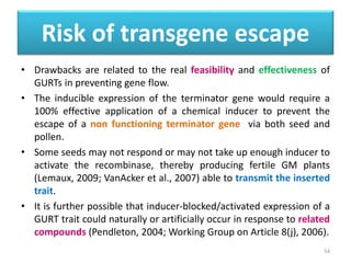 Risk of transgene escape
• Drawbacks are related to the real feasibility and effectiveness of
GURTs in preventing gene flow.
• The inducible expression of the terminator gene would require a
100% effective application of a chemical inducer to prevent the
escape of a non functioning terminator gene via both seed and
pollen.
• Some seeds may not respond or may not take up enough inducer to
activate the recombinase, thereby producing fertile GM plants
(Lemaux, 2009; VanAcker et al., 2007) able to transmit the inserted
trait.
• It is further possible that inducer-blocked/activated expression of a
GURT trait could naturally or artificially occur in response to related
compounds (Pendleton, 2004; Working Group on Article 8(j), 2006).
54
 