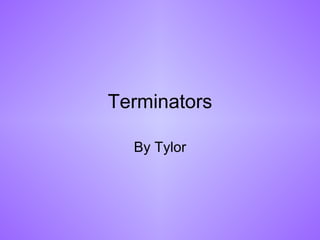 Terminators By Tylor 