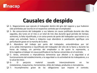 Causales de despido
 2.- Negociaciones que ejecute el trabajador dentro del giro del negocio y que hubieren
  sido prohibidas por escrito en el respectivo contrato por el empleador.
 3.- No concurrencia del trabajador a sus labores sin causa justificada durante dos días
  seguidos, dos lunes en el mes o un total de tres días durante igual período de tiempo;
  asimismo, la falta injustificada, o sin aviso previo de parte del trabajador que tuviere a su
  cargo una actividad, faena o máquina cuyo abandono o paralización signifique una
  perturbación grave en la marcha de la obra.
 4.- Abandono del trabajo por parte del trabajador, entendiéndose por tal:
  a) la salida intempestiva e injustificada del trabajador del sitio de la faena y durante las
  horas de trabajo, sin permiso del empleador o de quien lo represente, y
  b) la negativa a trabajar sin causa justificada en las faenas convenidas en el contrato.
 5.- Actos, omisiones o imprudencias temerarias que afecten a la seguridad o al
  funcionamiento del establecimiento, a la seguridad o a la actividad de los trabajadores, o a
  la salud de éstos.
 6.-      El      perjuicio      material      causado        intencionalmente      en     las
  instalaciones, maquinarias, herramientas, útiles de trabajo, productos o mercaderías.
 7.- Incumplimiento grave de las obligaciones que impone el contrato.
 