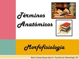Términos
Anatómicos


 Morfofisiología
   María Juliana Reyes Duarte- Facultad de Odontología; 2D
 