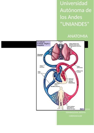 Universidad
Autónoma de
los Andes
“UNIANDES”
YOSENKA CARRERA
FACULTAD DE CIENCIAS MEDICAS MEDICINA
TERMINOLOGIA: SISTEMA
CARDIVASCULAR
ANATOMIA
 