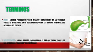 TERMINOS
- LÍQUIDO PRODUCIDO POR EL HÍGADO Y ALMACENADO EN LA VESÍCULA
BILIAR. LA BILIS AYUDA EN LA DESCOMPOSICIÓN DE LAS GRASAS Y ELIMINA LOS
DESECHOS DEL CUERPO.
- RUIDOS SORDOS CAUSADOS POR EL GAS QUE PASA A TRAVÉS DE
LOS INTESTINOS ("GRUÑIDO" DEL ESTÓMAGO).
 
