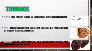 TERMINOS
- TUBO FLEXIBLE Y DELGADO QUE LLEVA LÍQUIDOS DENTRO O FUERA DEL CUERPO.
- COMIENZO DEL INTESTINO GRUESO; ESTÁ CONECTADO A LA PORCIÓN INFERIOR
DEL INTESTINO DELGADO, LLAMADA ÍLEON.
- PROBLEMA CRÓNICO QUE CAUSA QUE EL HÍGADO TENGA DIFICULTADES PARA
ELIMINAR LAS TOXINAS DEL CUERPO.
 