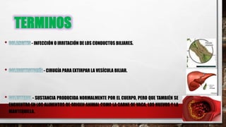 TERMINOS
- INFECCIÓN O IRRITACIÓN DE LOS CONDUCTOS BILIARES.
- CIRUGÍA PARA EXTIRPAR LA VESÍCULA BILIAR.
- SUSTANCIA PRODUCIDA NORMALMENTE POR EL CUERPO, PERO QUE TAMBIÉN SE
ENCUENTRA EN LOS ALIMENTOS DE ORIGEN ANIMAL COMO LA CARNE DE VACA, LOS HUEVOS Y LA
MANTEQUILLA.
 
