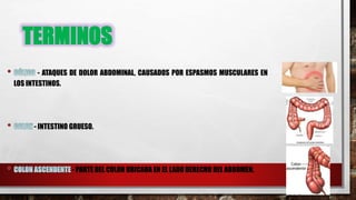 TERMINOS
- ATAQUES DE DOLOR ABDOMINAL, CAUSADOS POR ESPASMOS MUSCULARES EN
LOS INTESTINOS.
- INTESTINO GRUESO.
- PARTE DEL COLON UBICADA EN EL LADO DERECHO DEL ABDOMEN.
 
