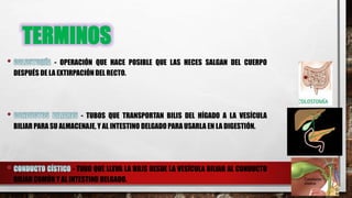 TERMINOS
- OPERACIÓN QUE HACE POSIBLE QUE LAS HECES SALGAN DEL CUERPO
DESPUÉS DE LA EXTIRPACIÓN DEL RECTO.
- TUBOS QUE TRANSPORTAN BILIS DEL HÍGADO A LA VESÍCULA
BILIAR PARA SU ALMACENAJE, Y AL INTESTINO DELGADO PARA USARLA EN LA DIGESTIÓN.
- TUBO QUE LLEVA LA BILIS DESDE LA VESÍCULA BILIAR AL CONDUCTO
BILIAR COMÚN Y AL INTESTINO DELGADO.
 