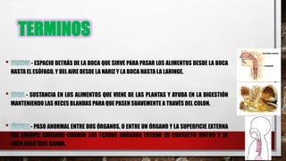 TERMINOS
- ESPACIO DETRÁS DE LA BOCA QUE SIRVE PARA PASAR LOS ALIMENTOS DESDE LA BOCA
HASTA EL ESÓFAGO, Y DEL AIRE DESDE LA NARIZ Y LA BOCA HASTA LA LARINGE.
- SUSTANCIA EN LOS ALIMENTOS QUE VIENE DE LAS PLANTAS Y AYUDA EN LA DIGESTIÓN
MANTENIENDO LAS HECES BLANDAS PARA QUE PASEN SUAVEMENTE A TRAVÉS DEL COLON.
- PASO ANORMAL ENTRE DOS ÓRGANOS, O ENTRE UN ÓRGANO Y LA SUPERFICIE EXTERNA
DEL CUERPO, CAUSADO CUANDO LOS TEJIDOS DAÑADOS ENTRAN EN CONTACTO MUTUO Y SE
UNEN MIENTRAS SANAN.
 