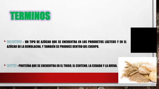 TERMINOS
- UN TIPO DE AZÚCAR QUE SE ENCUENTRA EN LOS PRODUCTOS LÁCTEOS Y EN EL
AZÚCAR DE LA REMOLACHA, Y TAMBIÉN SE PRODUCE DENTRO DEL CUERPO.
- PROTEÍNA QUE SE ENCUENTRA EN EL TRIGO, EL CENTENO, LA CEBADA Y LA AVENA.
 