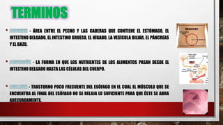 TERMINOS
- ÁREA ENTRE EL PECHO Y LAS CADERAS QUE CONTIENE EL ESTÓMAGO, EL
INTESTINO DELGADO, EL INTESTINO GRUESO, EL HÍGADO, LA VESÍCULA BILIAR, EL PÁNCREAS
Y EL BAZO.
- LA FORMA EN QUE LOS NUTRIENTES DE LOS ALIMENTOS PASAN DESDE EL
INTESTINO DELGADO HASTA LAS CÉLULAS DEL CUERPO.
- TRASTORNO POCO FRECUENTE DEL ESÓFAGO EN EL CUAL EL MÚSCULO QUE SE
ENCUENTRA AL FINAL DEL ESÓFAGO NO SE RELAJA LO SUFICIENTE PARA QUE ÉSTE SE ABRA
ADECUADAMENTE.
 