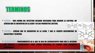 TERMINOS
- UNA ENZIMA DEL INTESTINO DELGADO NECESARIA PARA DIGERIR LA LACTOSA, UN
AZÚCAR QUE SE ENCUENTRA EN LA LECHE Y EN LOS PRODUCTOS LÁCTEOS.
- AZÚCAR QUE SE ENCUENTRA EN LA LECHE, Y QUE EL CUERPO DESCOMPONE EN
GALACTOSA Y GLUCOSA.
- PROCEDIMIENTO EN EL QUE SE USA UN LAPAROSCOPIO PARA VER EL INTERIOR
DEL CUERPO, Y POSIBLEMENTE PARA TOMAR MUESTRAS DE TEJIDOS PARA EXÁMENES
ADICIONALES.
 