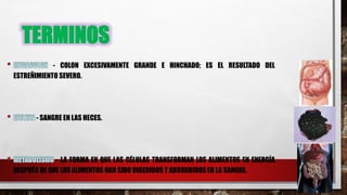 TERMINOS
- COLON EXCESIVAMENTE GRANDE E HINCHADO; ES EL RESULTADO DEL
ESTREÑIMIENTO SEVERO.
- SANGRE EN LAS HECES.
- LA FORMA EN QUE LAS CÉLULAS TRANSFORMAN LOS ALIMENTOS EN ENERGÍA
DESPUÉS DE QUE LOS ALIMENTOS HAN SIDO DIGERIDOS Y ABSORBIDOS EN LA SANGRE.
 