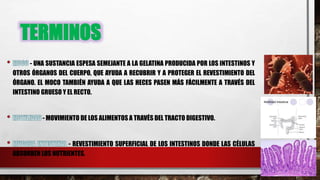 TERMINOS
- UNA SUSTANCIA ESPESA SEMEJANTE A LA GELATINA PRODUCIDA POR LOS INTESTINOS Y
OTROS ÓRGANOS DEL CUERPO, QUE AYUDA A RECUBRIR Y A PROTEGER EL REVESTIMIENTO DEL
ÓRGANO. EL MOCO TAMBIÉN AYUDA A QUE LAS HECES PASEN MÁS FÁCILMENTE A TRAVÉS DEL
INTESTINO GRUESO Y EL RECTO.
- MOVIMIENTO DE LOS ALIMENTOS A TRAVÉS DEL TRACTO DIGESTIVO.
- REVESTIMIENTO SUPERFICIAL DE LOS INTESTINOS DONDE LAS CÉLULAS
ABSORBEN LOS NUTRIENTES.
 