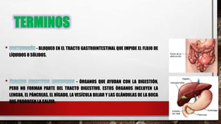 TERMINOS
- BLOQUEO EN EL TRACTO GASTROINTESTINAL QUE IMPIDE EL FLUJO DE
LÍQUIDOS O SÓLIDOS.
- ÓRGANOS QUE AYUDAN CON LA DIGESTIÓN,
PERO NO FORMAN PARTE DEL TRACTO DIGESTIVO. ESTOS ÓRGANOS INCLUYEN LA
LENGUA, EL PÁNCREAS, EL HÍGADO, LA VESÍCULA BILIAR Y LAS GLÁNDULAS DE LA BOCA
QUE PRODUCEN LA SALIVA.
 