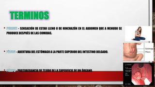 TERMINOS
- SENSACIÓN DE ESTAR LLENO O DE HINCHAZÓN EN EL ABDOMEN QUE A MENUDO SE
PRODUCE DESPUÉS DE LAS COMIDAS.
- ABERTURA DEL ESTÓMAGO A LA PARTE SUPERIOR DEL INTESTINO DELGADO.
- PROTUBERANCIA DE TEJIDO DE LA SUPERFICIE DE UN ÓRGANO.
 